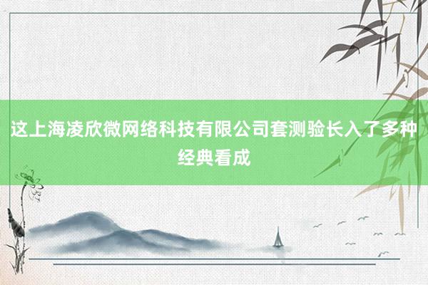 这上海凌欣微网络科技有限公司套测验长入了多种经典看成